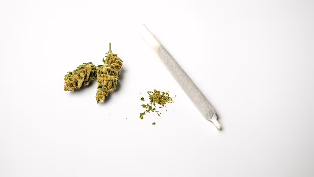 Joint mit Cannabis