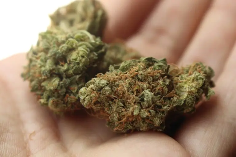 Cannabis Schwarzmarkt