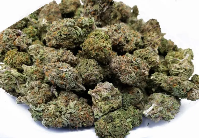 Cannabisblüten