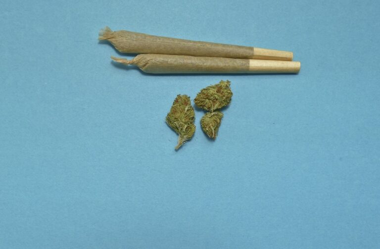 Cannabisclubs in Bayern