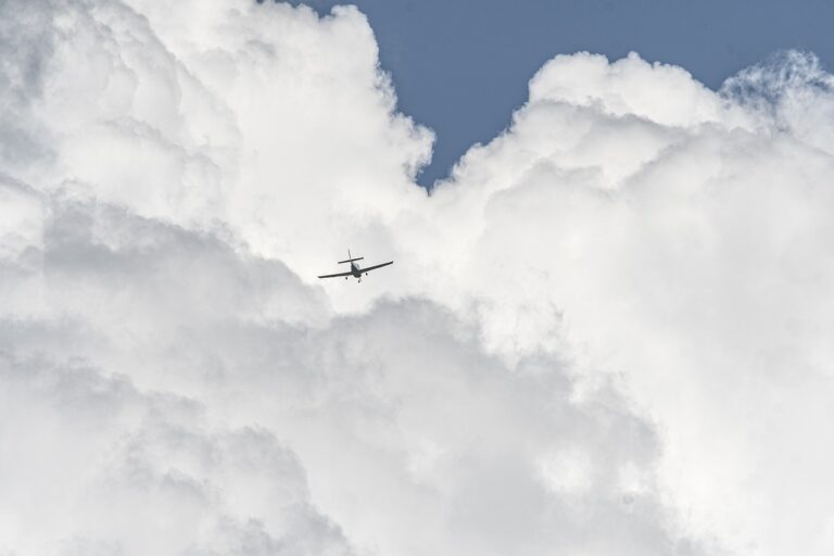 Flugzeug aus Hanf
