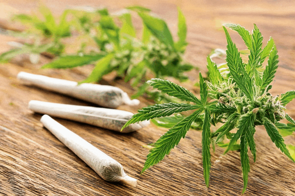 Aktivkohlefilter für Joints