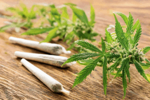 Aktivkohlefilter für Joints