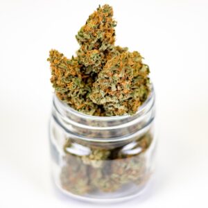 Cannabis Freigabe Tschechien