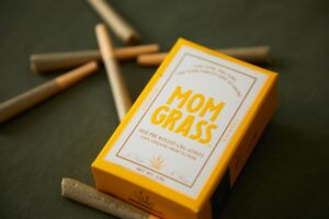 Cannabis Studie
